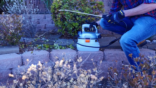 A Small Portable Electric Sprayer that Does Mighty Jobs