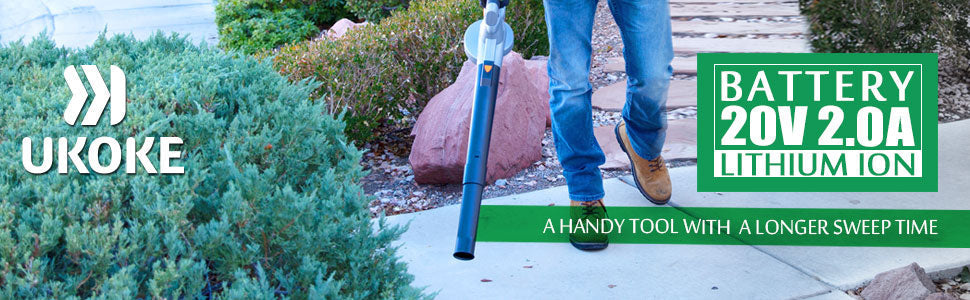 Person using a cordless 20V lithium ion battery leaf blower on garden walkway