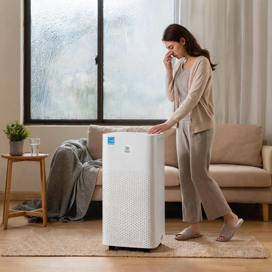 5 Signs Your Home Needs a Ukoke Portable Dehumidifier (And Why 32 Pints Is the Sweet Spot)